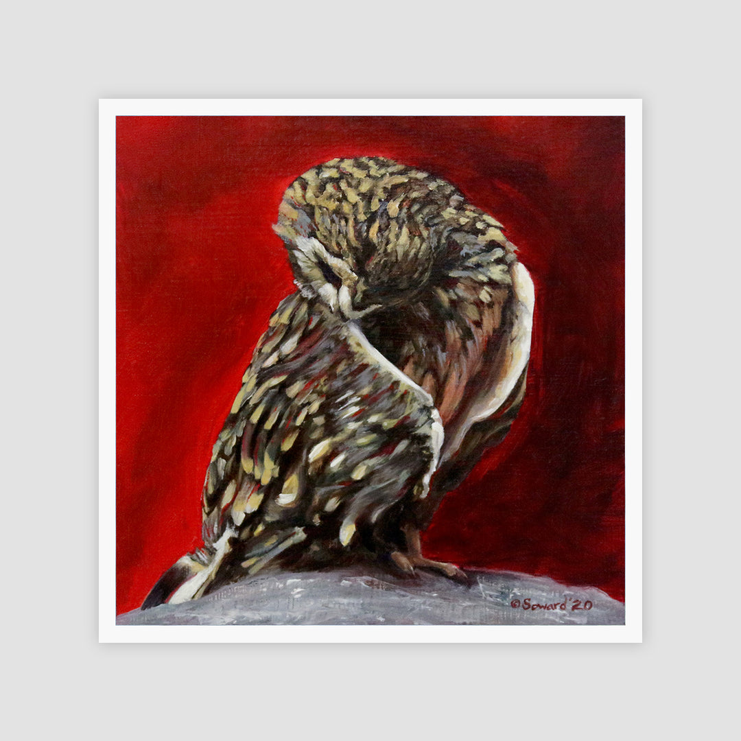 Preening Pueo, Open Edition Print