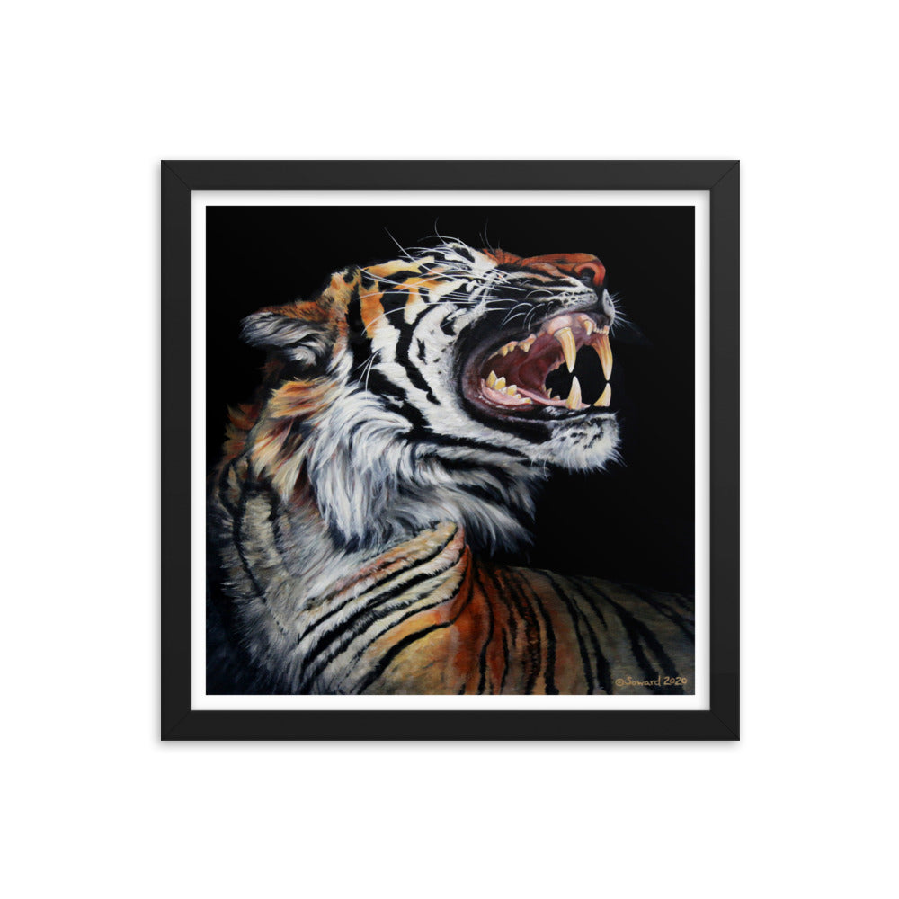Roar, Tiger in Profile, Framed Print