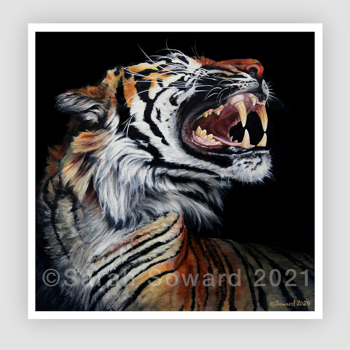 Roar, Tiger in Profile, Open Edition Print