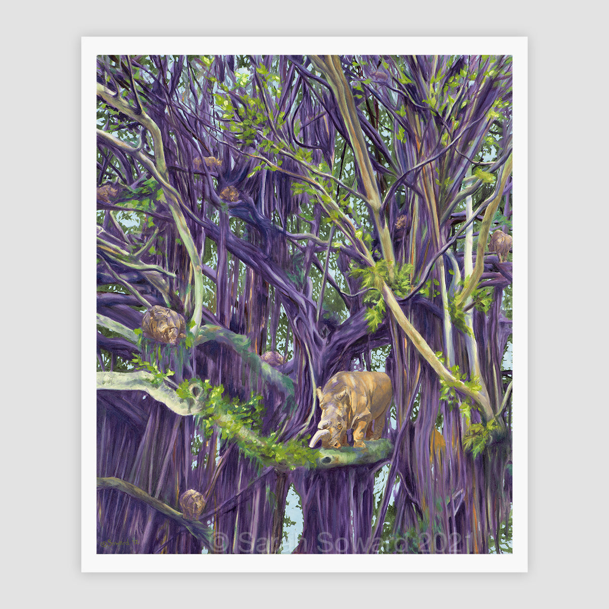 Secluded Spaces, Open Edition Print