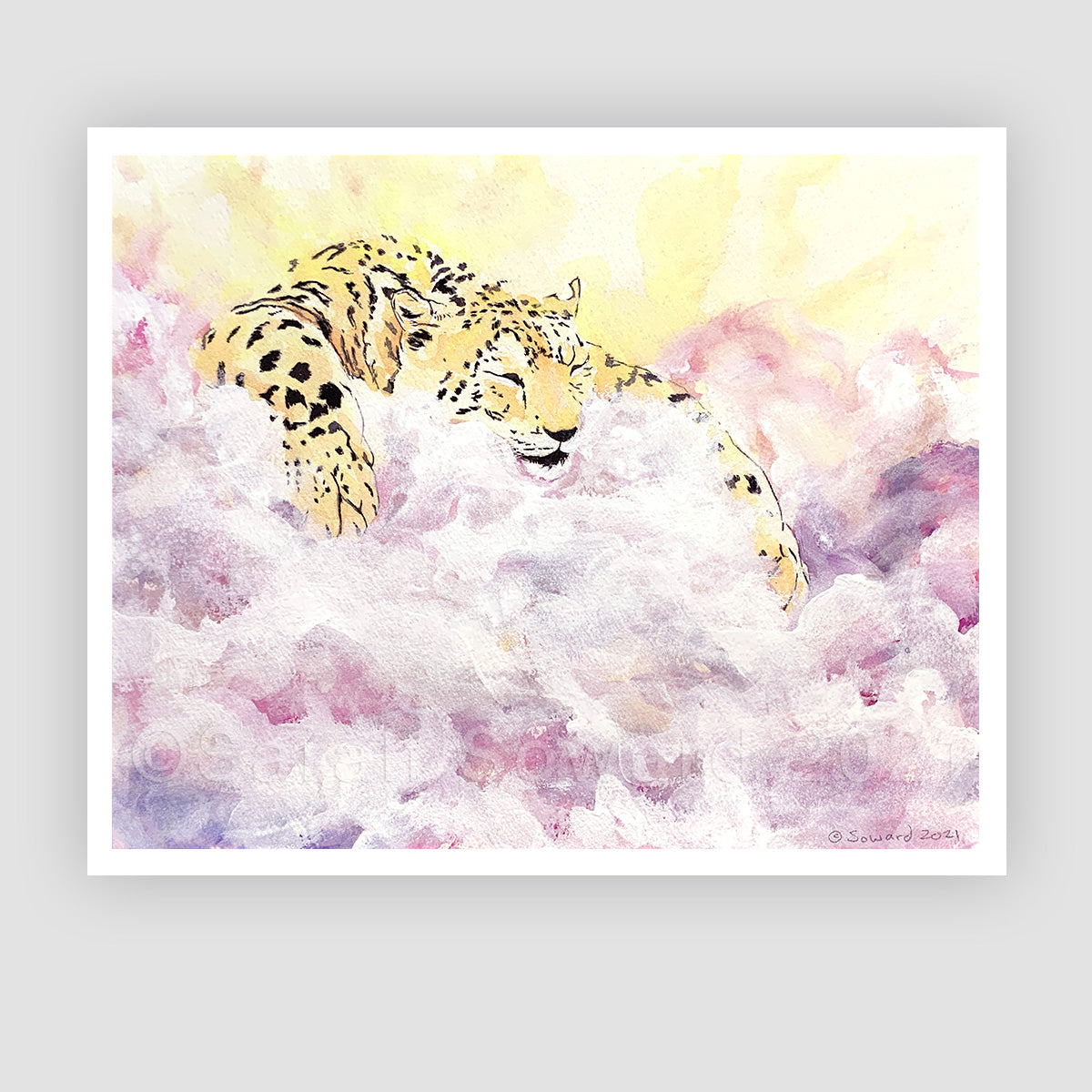 Snoozing Sun Leopard, Open Edition Print