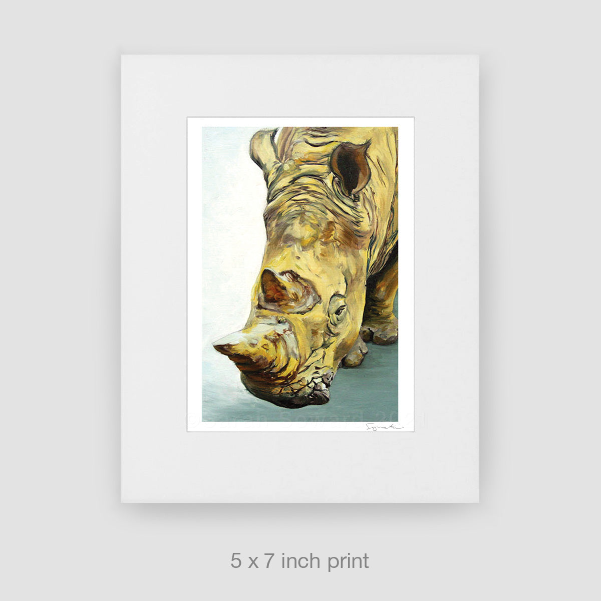 Stanley Rhino, Limited Edition Print