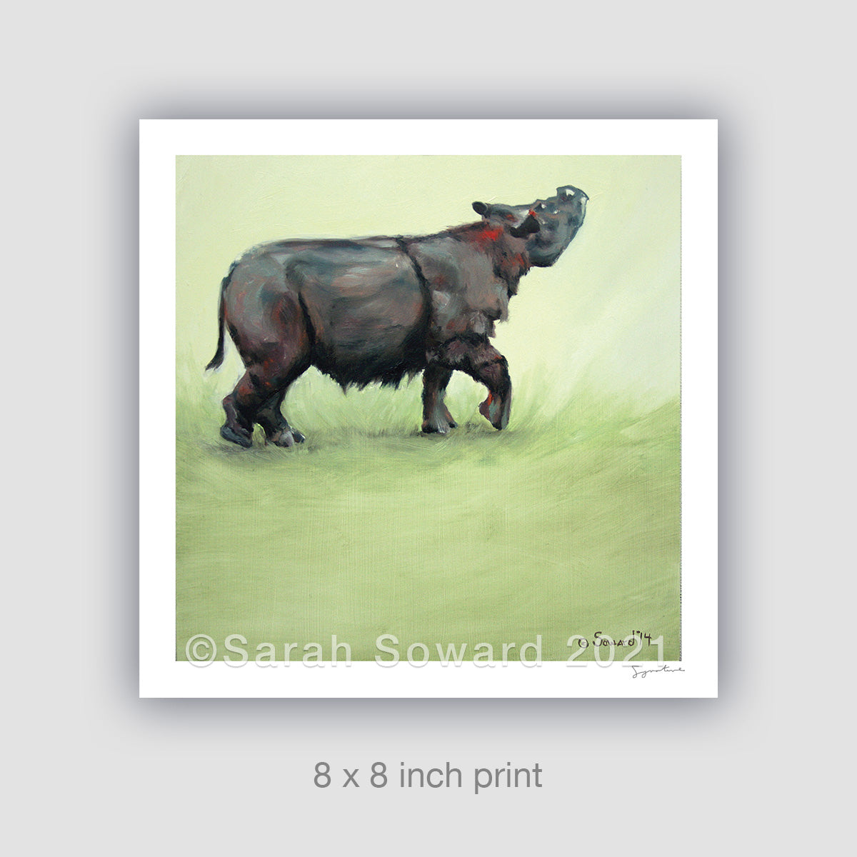 Suci Rhino, Sumatran Rhino Limited Edition Print