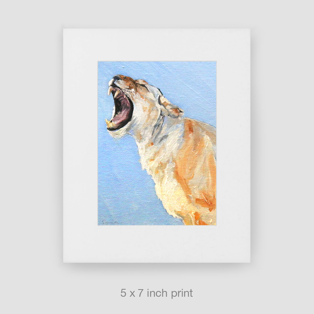 The Yawn, Lioness, Limited Edition Print