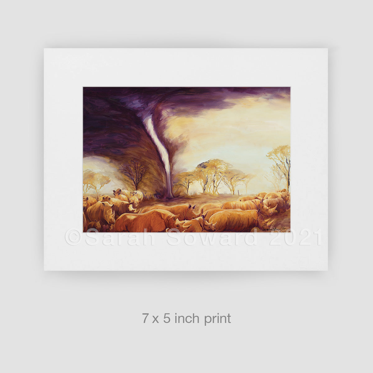 Tornado of Rhinos, Limited Edition Print